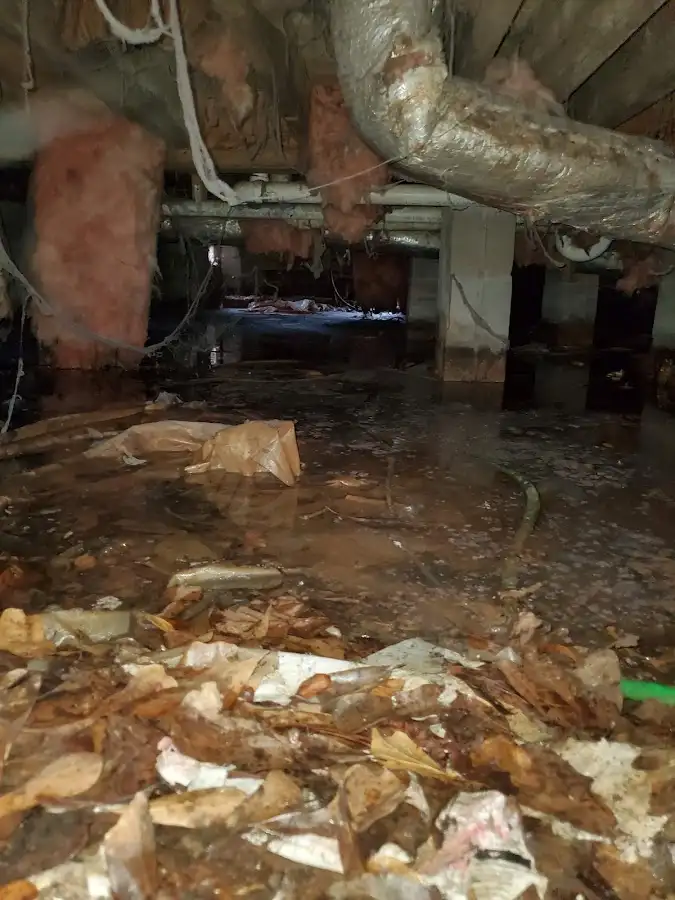 Crawl space flood assessment for Leak Detection & Repair in Junction City